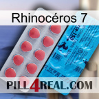 Rhinocéros 7 new14